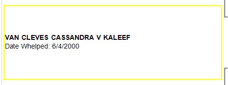 VAN CLEVES CASSANDRA V KALEEF Record